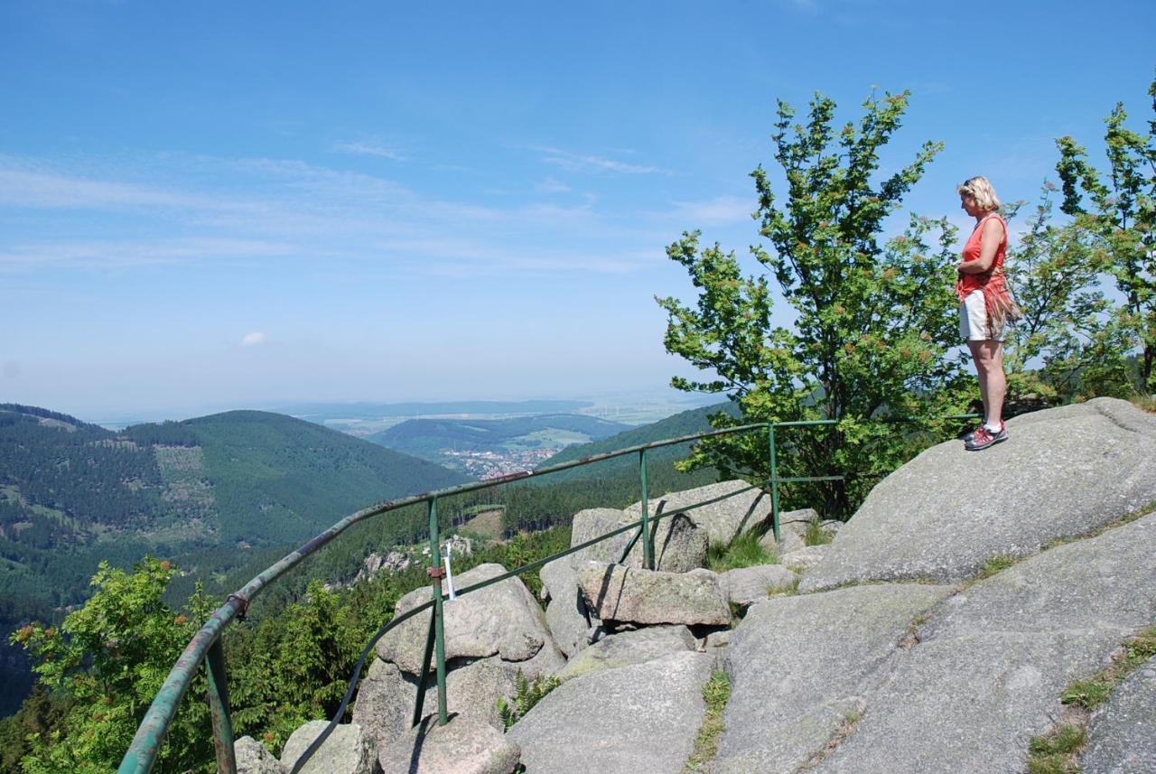 Ferienwohnung-Bergblick Bad Harzburg Dış mekan fotoğraf