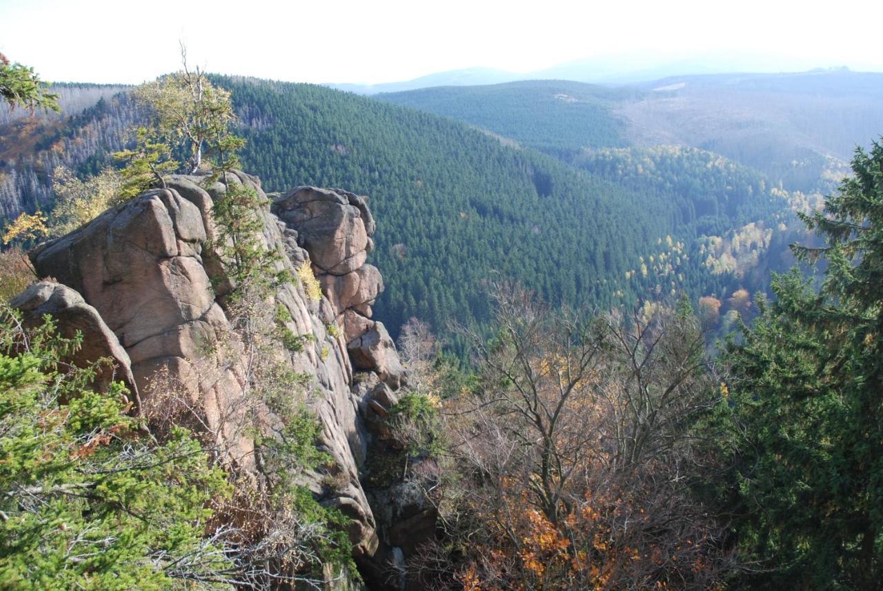 Ferienwohnung-Bergblick Bad Harzburg Dış mekan fotoğraf